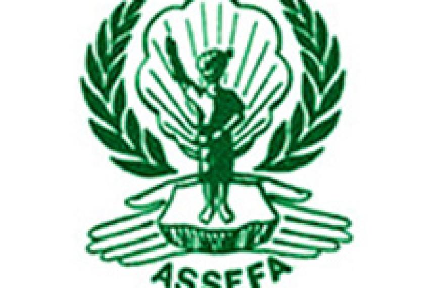 ASSEFA logo