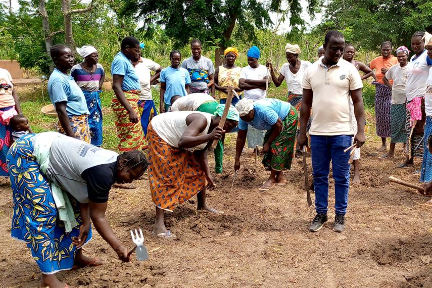 Photo of a group of people demonstrating harvesting techniques.