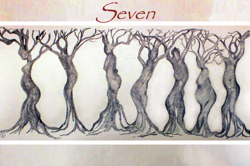 promotional image for Seven: A documentary play