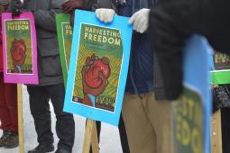 Justicia for Migrant Workers and supporters call for migrant farmworkers to be given permanent status in Canada.