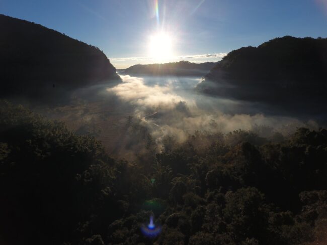 spp_landscape_1