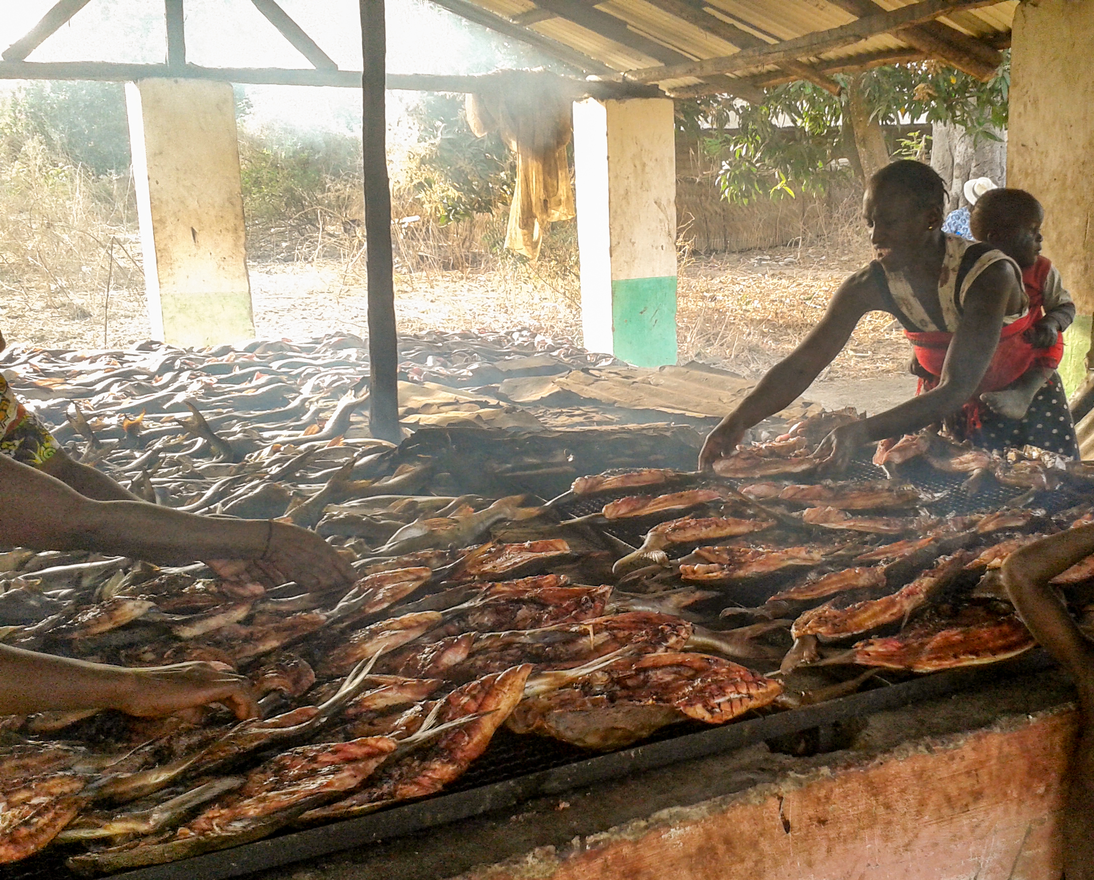 in_focus_guinea-bissau-1_1