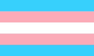 trans-g1c17b86d1_1920