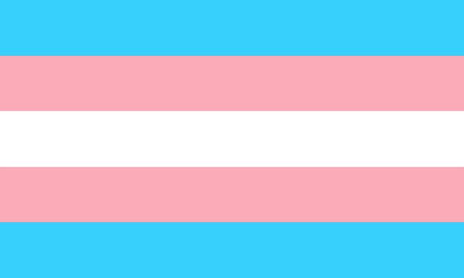 trans-g1c17b86d1_1920