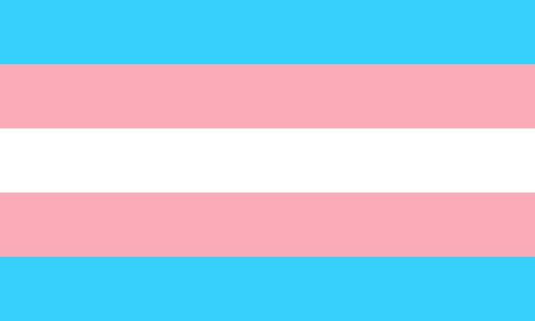 trans-g1c17b86d1_1920