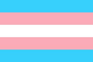 trans-g1c17b86d1_1920_1