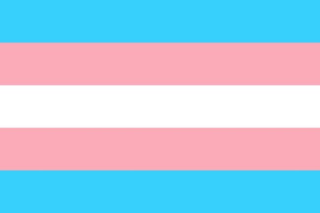 trans-g1c17b86d1_1920_1
