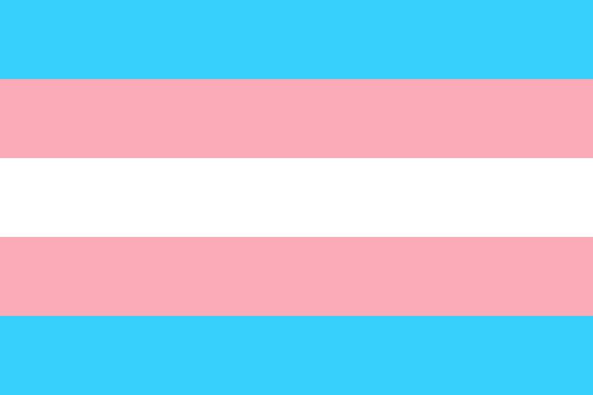 trans-g1c17b86d1_1920_1