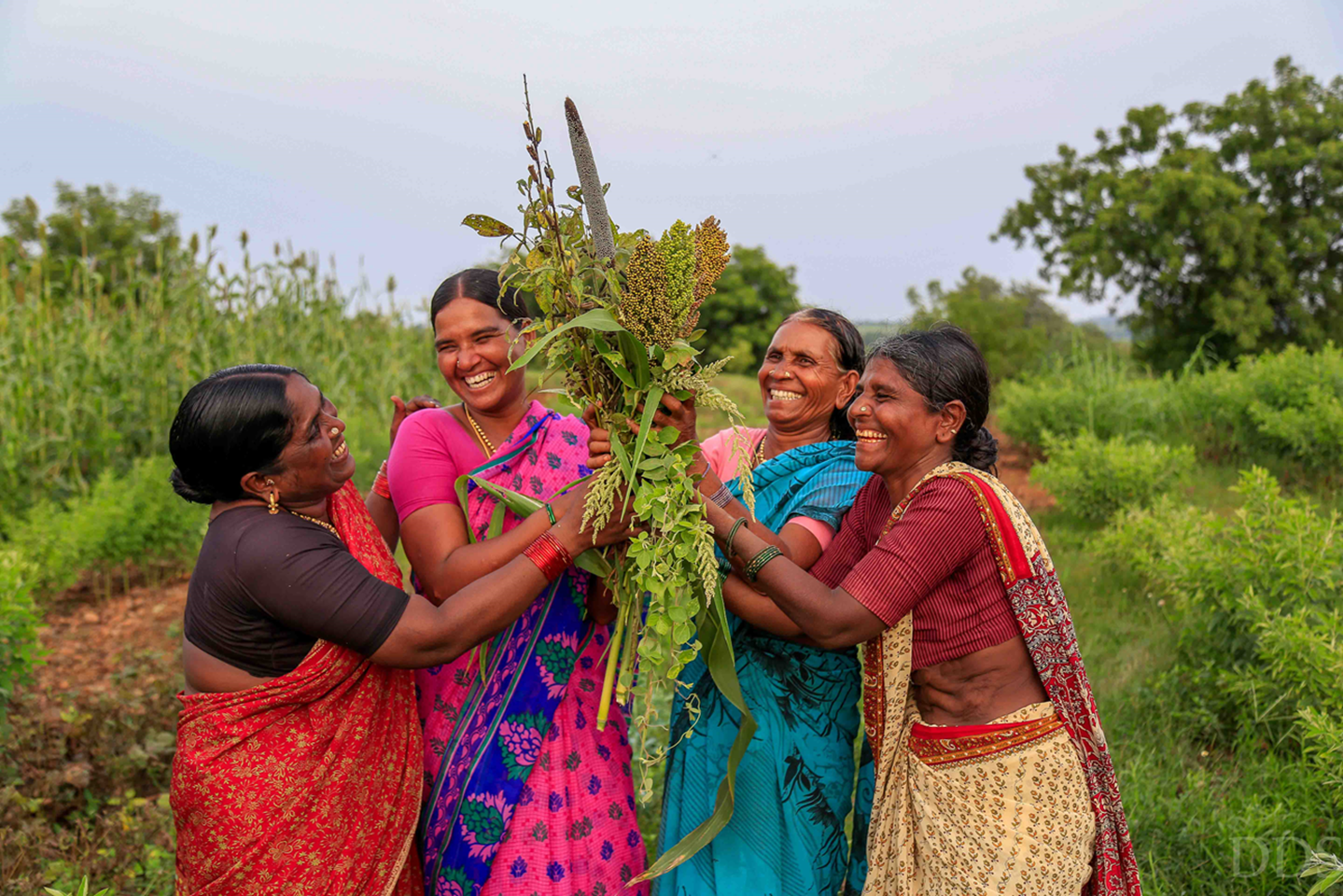 Four women gather around crops, smiling.
