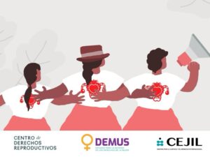 Three illustrated people arm-in-arm. One holds a megaphone. Three logos are below the illustration: Centro de derechos reproductivos, DEMUS-Estudio para la defensa de los derechos de la mujer, and CEJIL-centro por la justicia y el derecho internacional