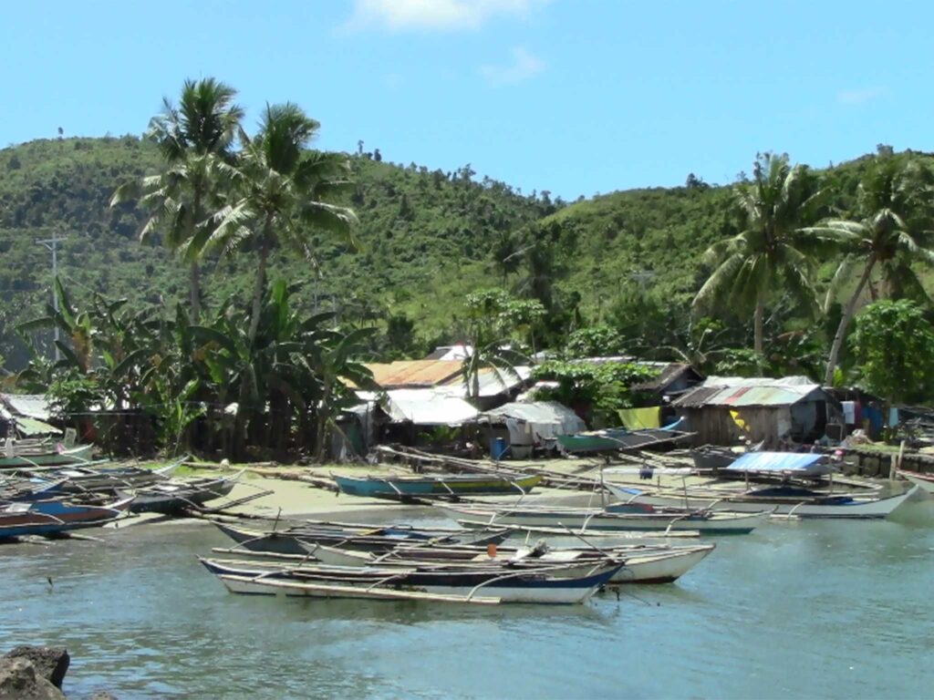 Small coastal fishing village with several wooden outrigger boats moored in calm water. Modest houses with metal roofs line the shore beneath tall palm trees, with lush green hills and a bright blue sky in the background.