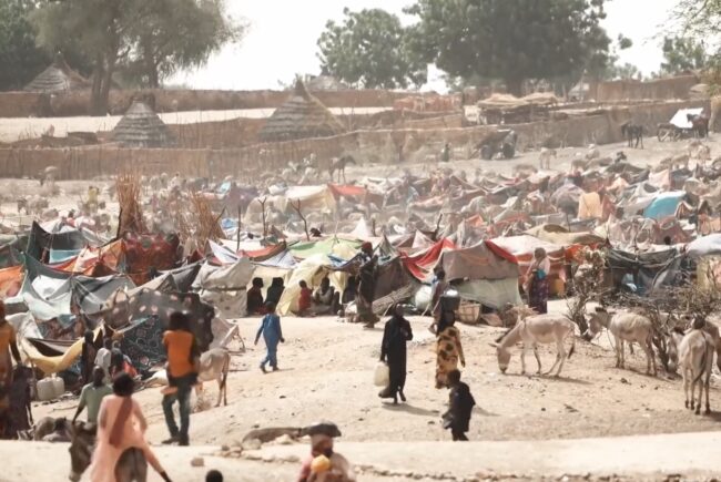 People and animals at a refugee camp in Chad.
