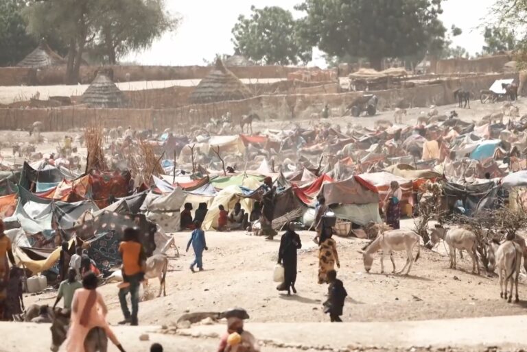 People and animals at a refugee camp in Chad.
