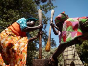 Two women outdoors pound ingredients in a large wooden mortar with long pestles, wearing brightly patterned clothing beneath trees.