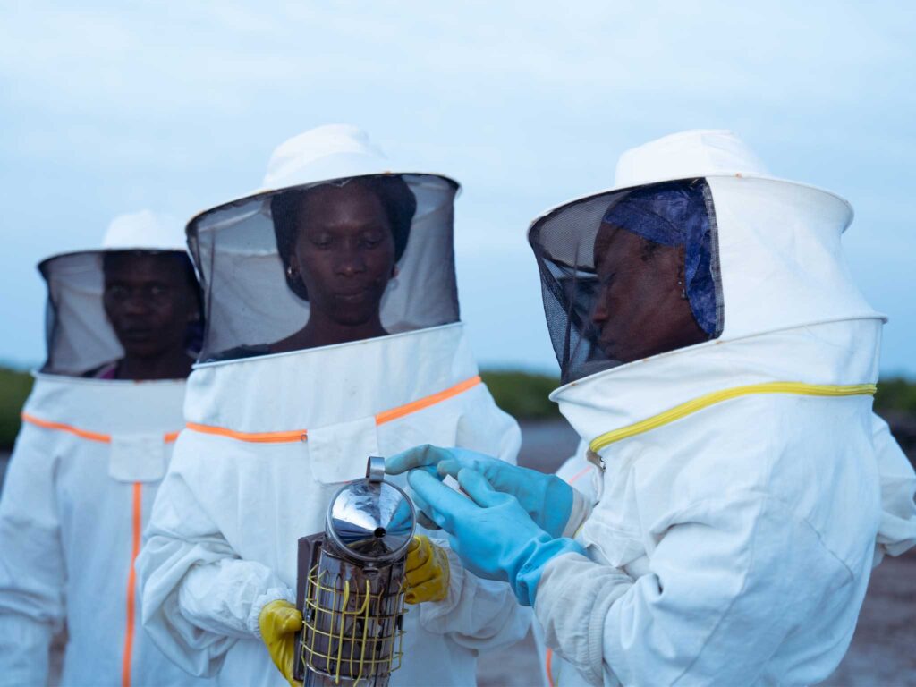 Three women beekeepers wearing protective suits and gloves inspect equipment outdoors, collaborating carefully during hive management at dusk.